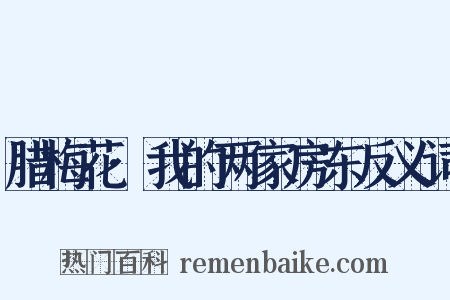 腊梅花·我的两家房东反义词是什么意思的图片